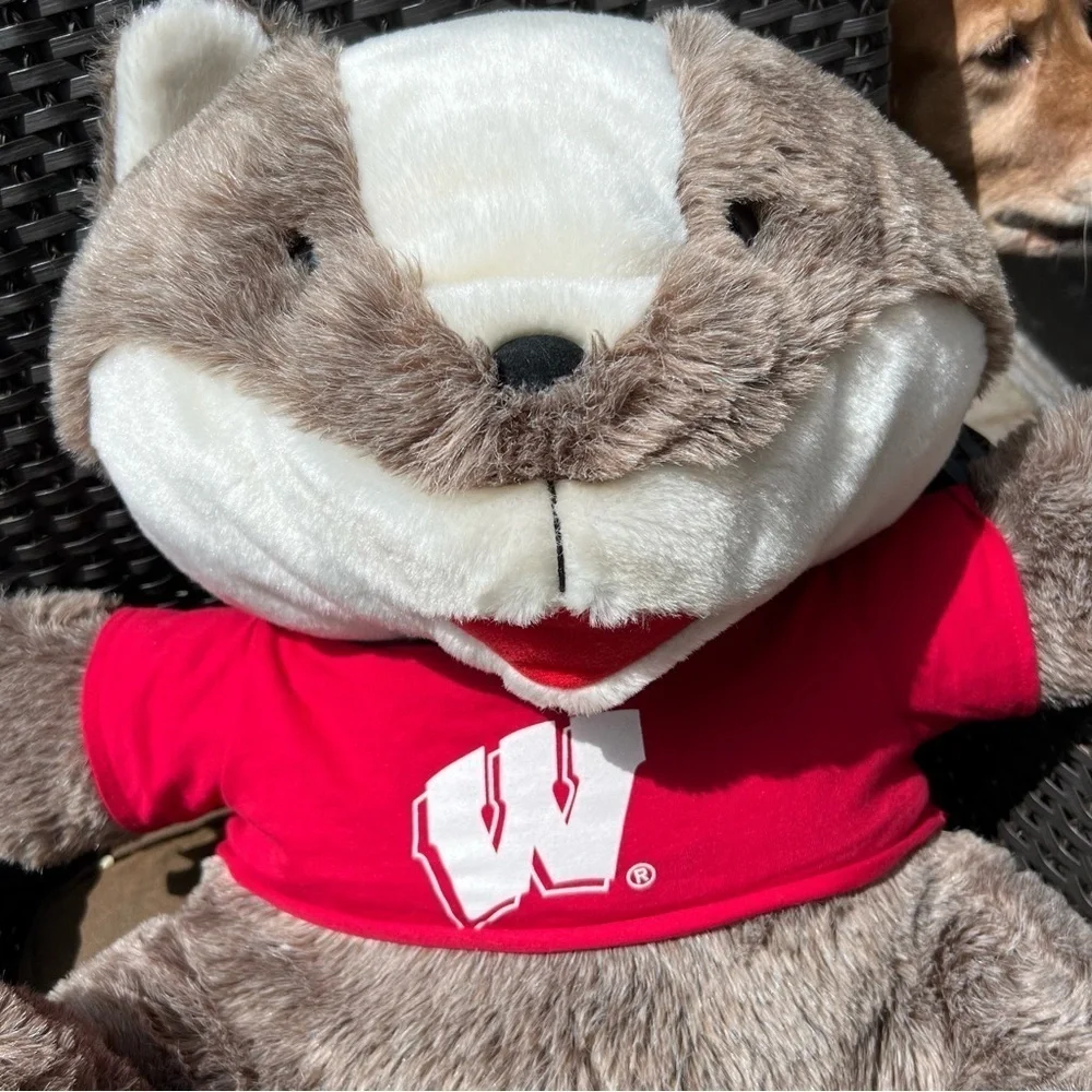 BUCKY BADGER Chelsea Teddy Bear LARGE Plush University of Wisconsin Stuffe 18x23
